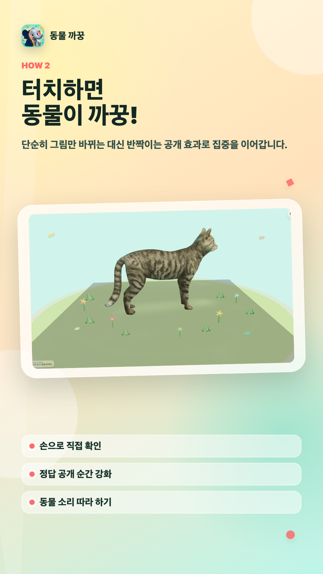 고양이 정답 공개 화면