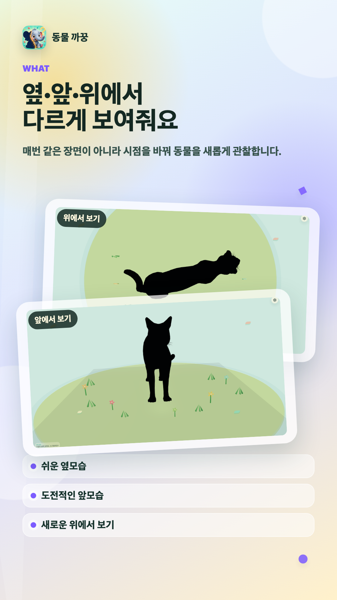 위에서 보는 동물 실루엣 화면